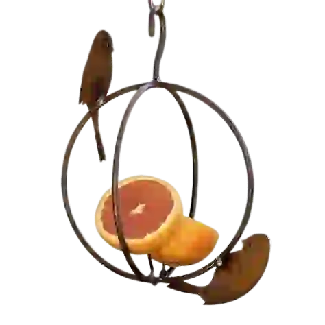 Birdie Fruit Feeder