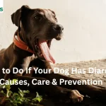Dog with diarrhea being comforted by owne
