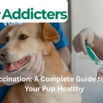 Dog vaccination schedule for puppies and adult dogs