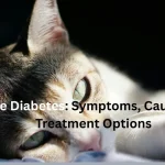Feline diabetes symptoms and early warning signs