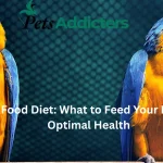 Colorful parrot eating fresh fruits and vegetables as part of a healthy diet