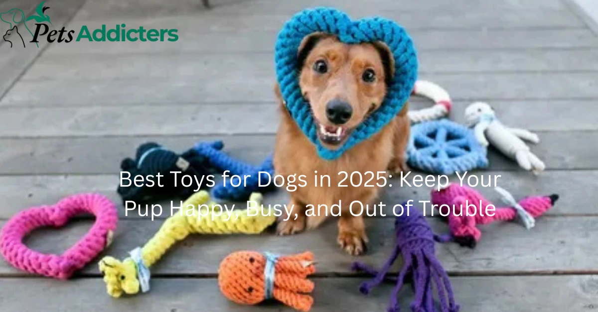 Golden retriever chewing on one of the best toys for dogs