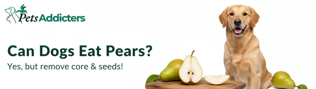 Pear seeds with cyanide warning – can dogs eat pear