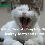 Cat dental care and oral hygiene tips
