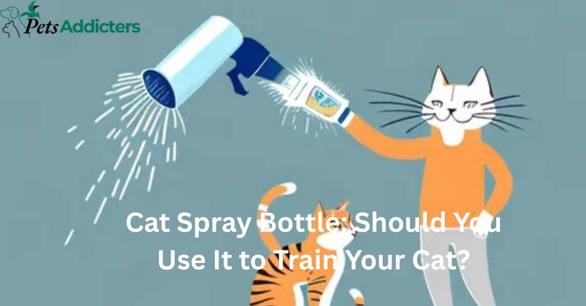 Cat spray bottle used for training a cat at home