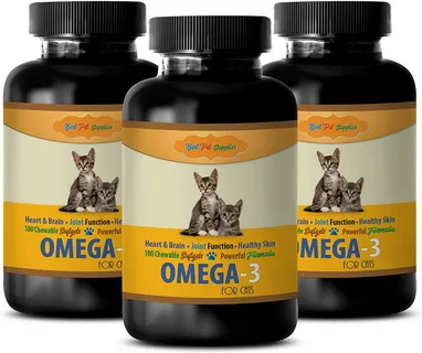 Healthy cat with supplements for better nutrition