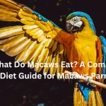 Healthy diet for macaws parrot including fruits, vegetables, pellets, and nuts