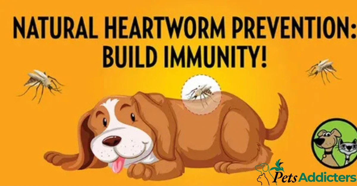 Dog running outdoors protected by natural heartworm prevention