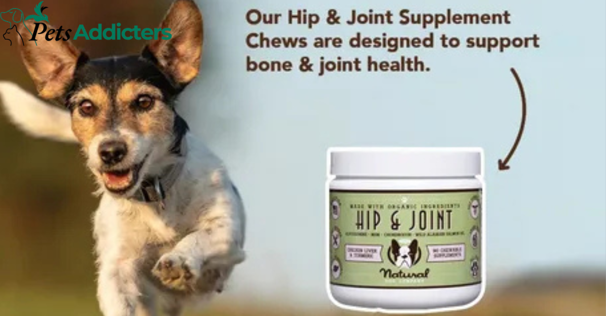 Glucosamine and turmeric supplements for dog joint health