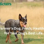 The Farmer’s Dog: Fresh, Healthy Food for a Happier, Longer Life