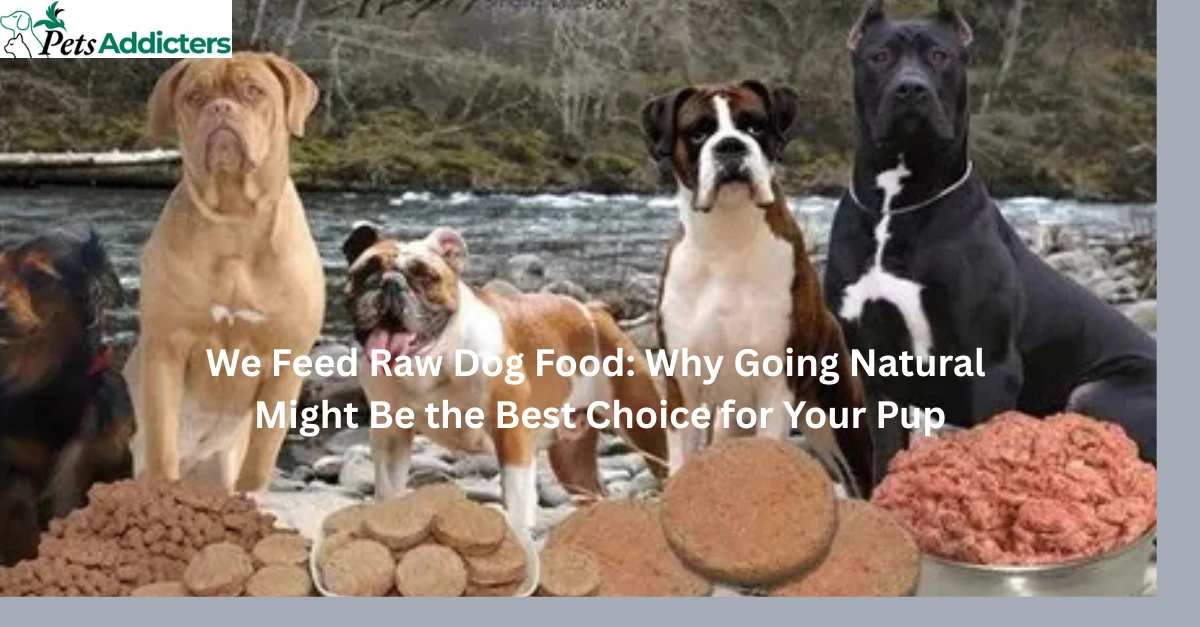 A healthy dog eating a raw food meal made of fresh meat and vegetables