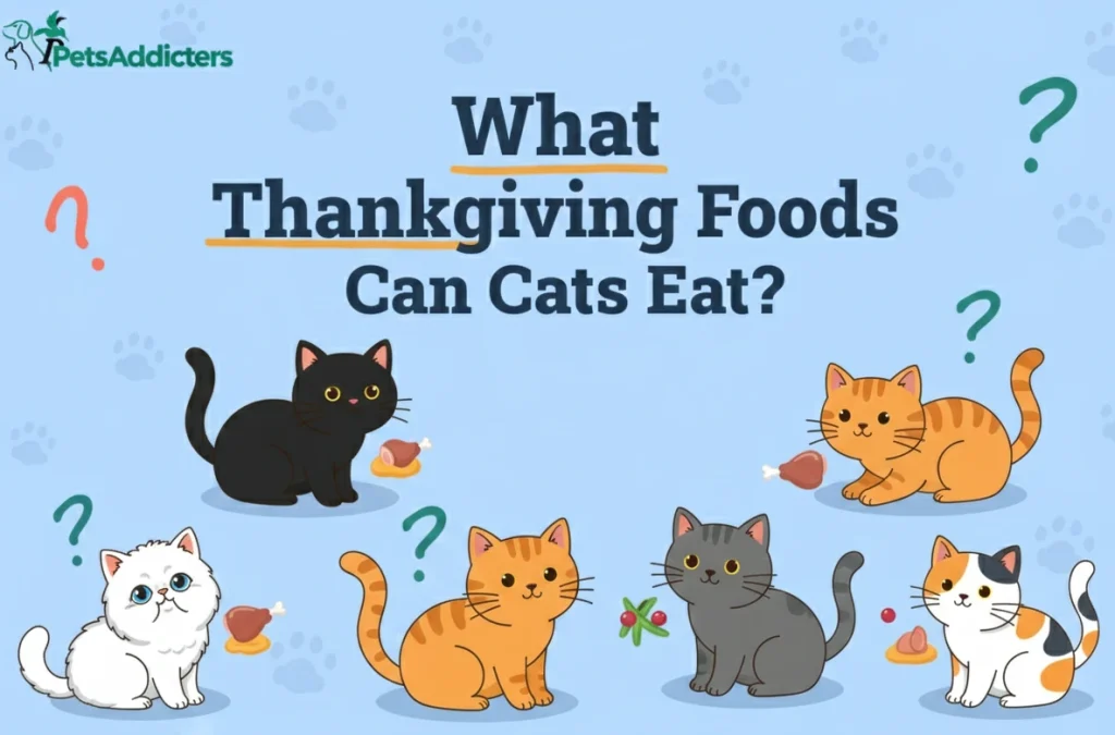 what thanksgiving foods can cats eat vet guideline