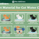 best material for cat water fountain 2025 – stainless steel vs ceramic vs plastic ranking