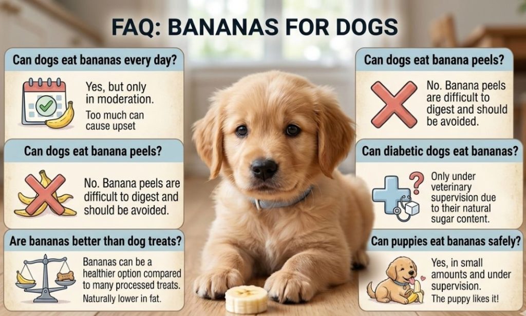 Can Dogs Eat Bananas