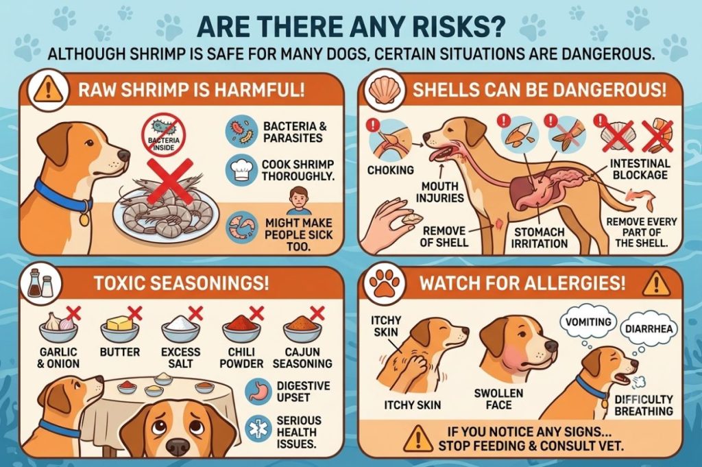 Although shrimp is safe for many 