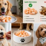 can dogs eat shrimp